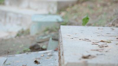 百元nike运动鞋,adidasnike篮球鞋哪个好