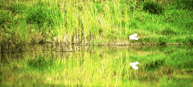 桔钓沙海滩游玩项目,桔钓沙旅游区