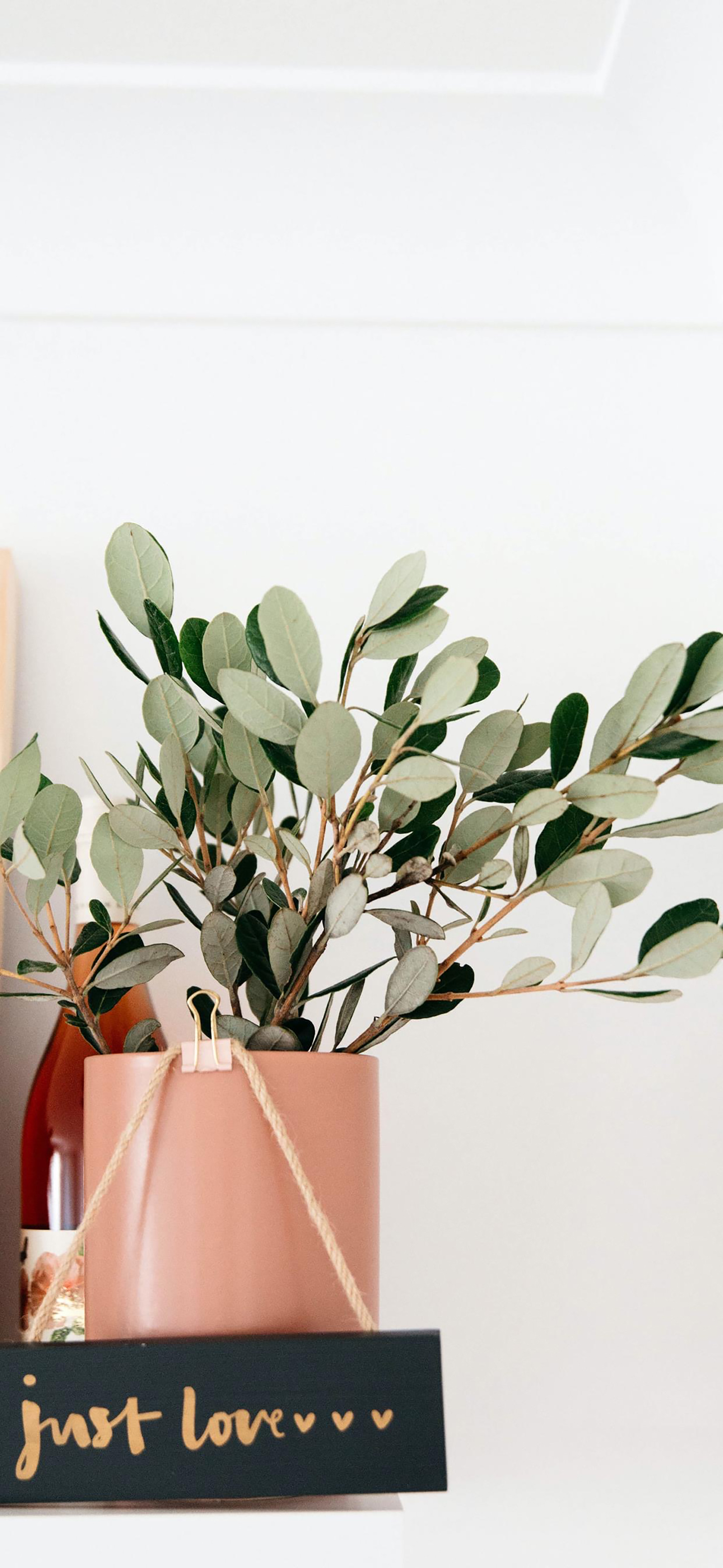 清晰到极致的手机壁纸图片,高清壁纸超清手机壁纸