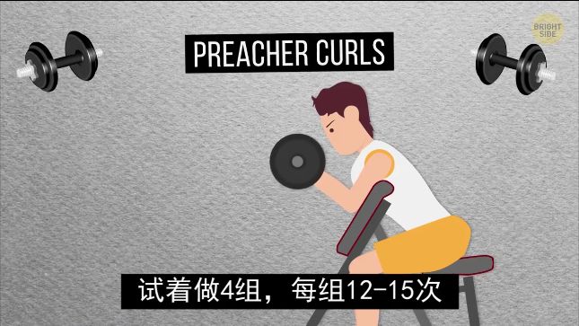 怎么练手臂的肱三头,怎么才能练出手臂的肱三头肌