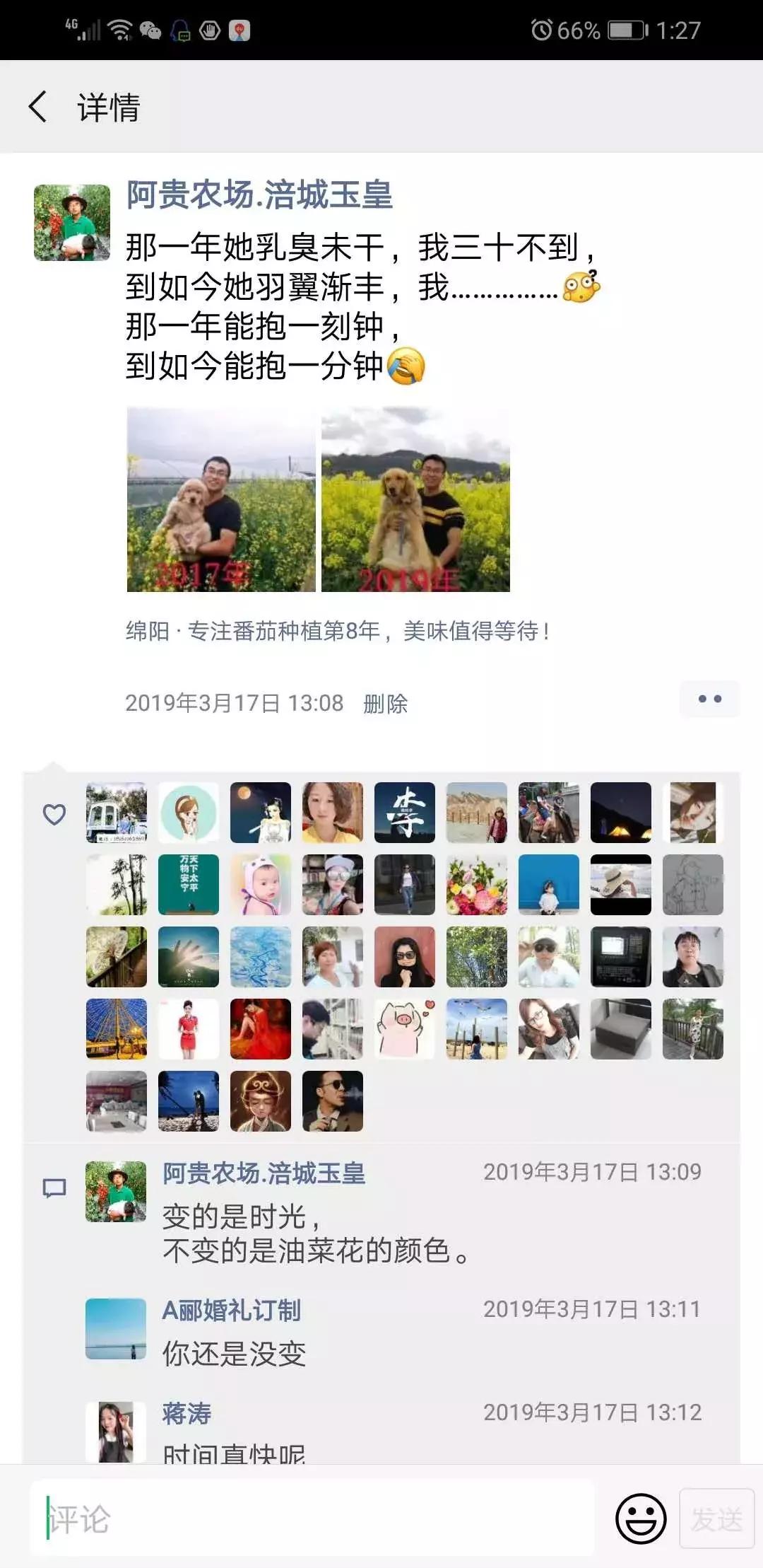 被“致富经”忽悠养殖野鸡，没想到失败以后反而成了番茄大王