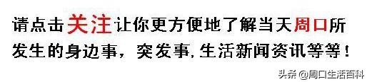 河南省校园足球赛大学组,河南省足球锦标赛初中组