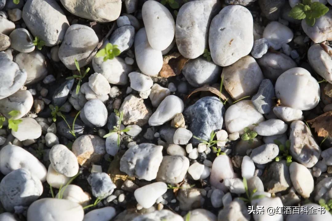 拉图嘉利酒庄与拉图酒庄是一家吗,拉图酒庄红酒价格表