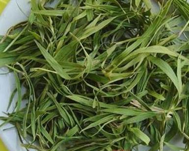 整合——28种青草药，赶快收藏备用！