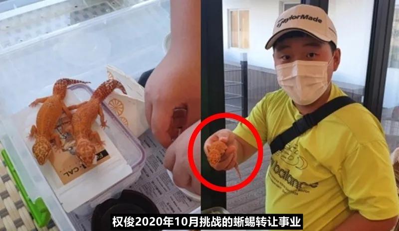 韩娱：AESPA、BTOB、TOP点餐、Kingdom阵容