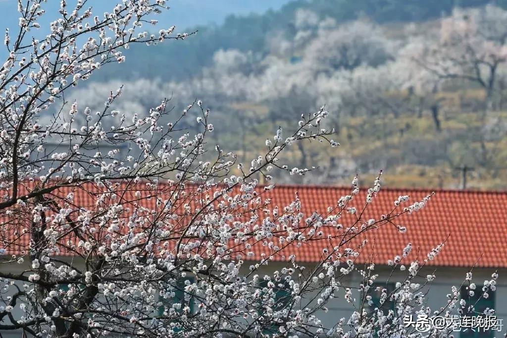 大连旅游必去景点路线推荐,大连最佳的旅游路线