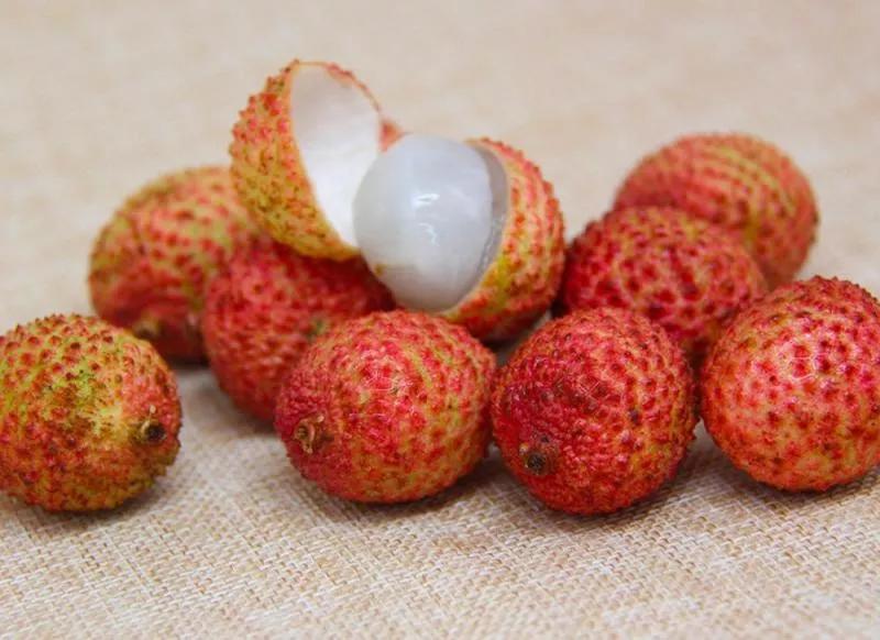 一骑红尘妃子笑的荔枝来自哪里,红尘妃子笑无人知是荔枝来下一句