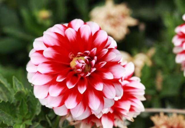 十二星座女无法逃避的爱情黑洞,十二星座无法抵抗的女生