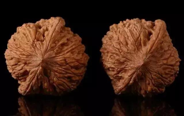 文玩核桃什么品种最好,全部文玩核桃大全