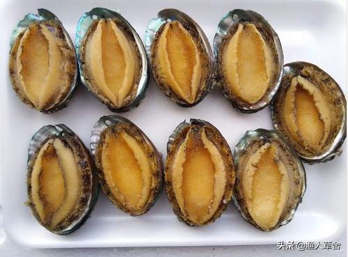 辽宁省大连知名农产品,辽宁省农产品地理标志产品都有啥