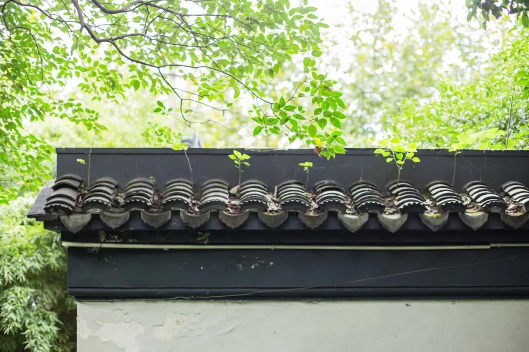 世态炎凉8首诗,看透了人情冷暖世态炎凉的诗句