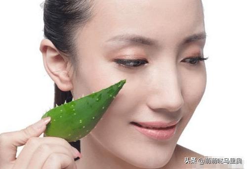 为什么有人用了芦荟胶会爆痘,为什么擦芦荟胶反而长痘