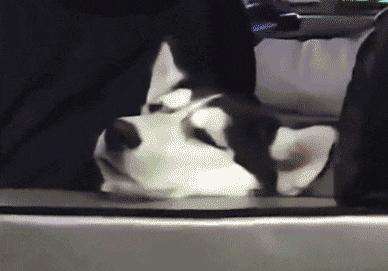 不联系的同学借钱怎么高情商回复,怎么回复借钱的同学