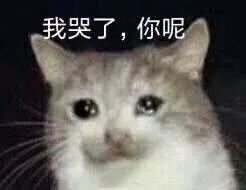 小胸平价文胸内衣推荐,超好看内衣聚拢