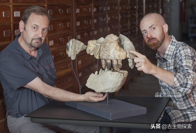 史前巨鳄陆地速度排行榜,史前巨鳄一排一排的从小到大