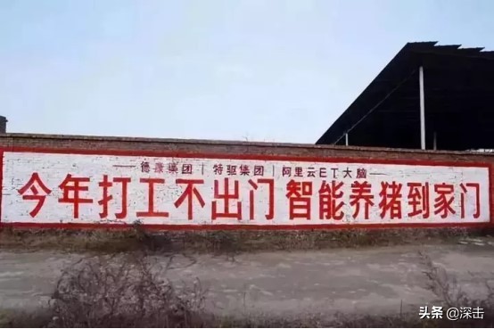 马云刘强东互联网养猪,为什么马云刘强东要去养猪