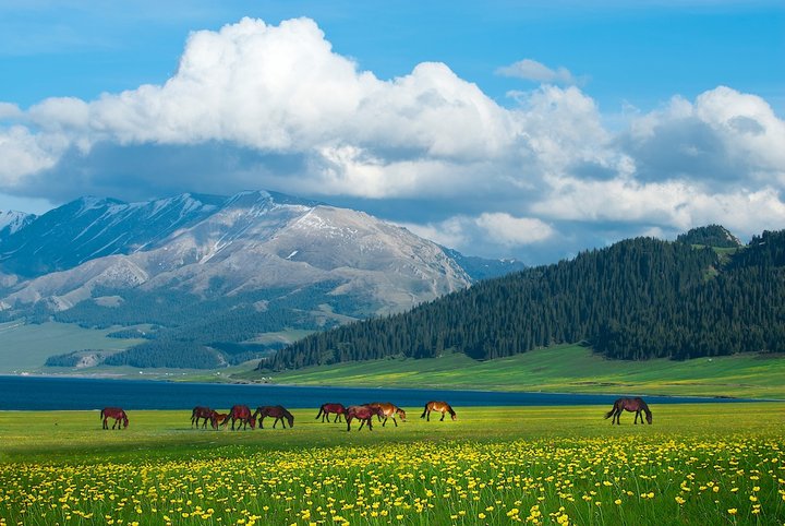 为什么新疆买东西不包邮,为啥买东西新疆永远不包邮