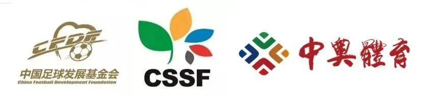 中国足球发展基金会杯,2024中国足球发展基金会杯