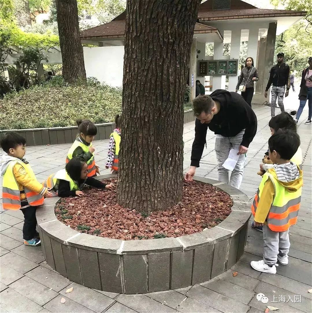 上海浦东有托班的幼儿园,上海全日制双语幼儿园