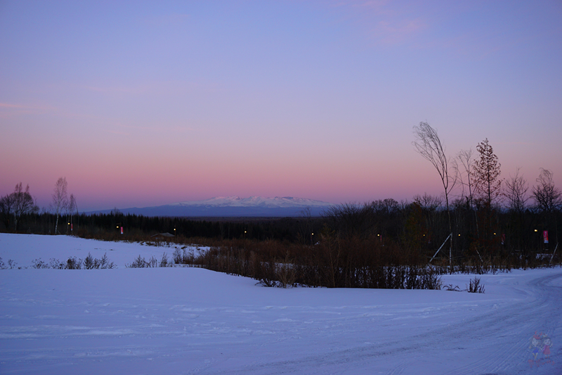 冬季旅游好去处排行榜不看雪,林海雪原旅游景区