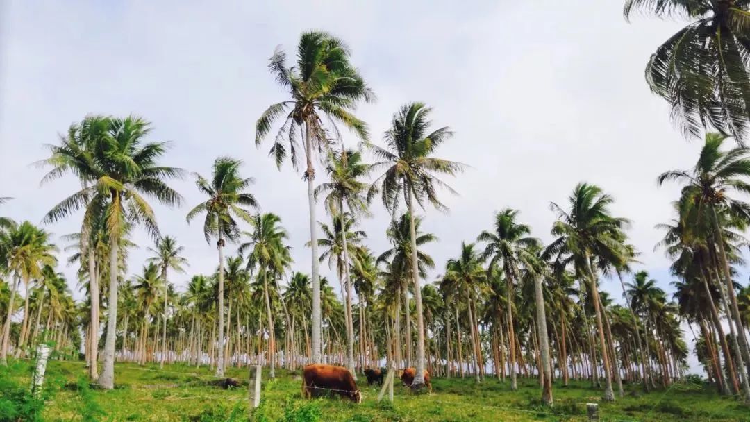 五一放假去哪里旅游比较好,五一小长假去哪里玩比较好一点