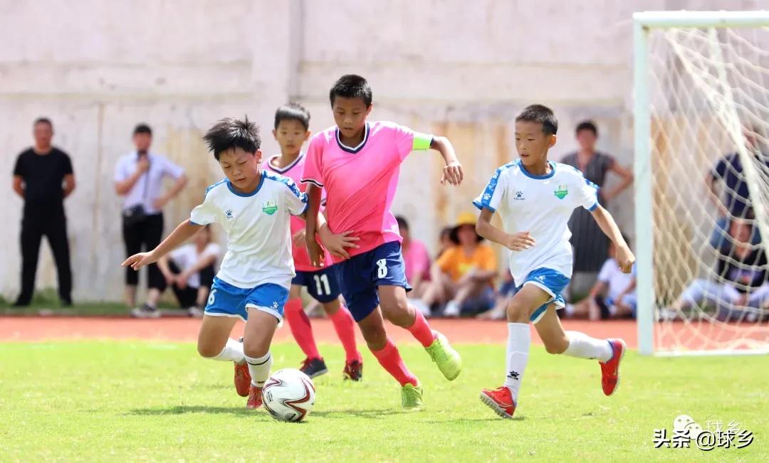 区中小学足球联赛,体教融合杯中学篮球赛