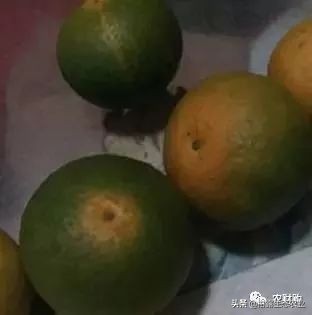 作物虫害识别大全图谱,果园物理防控虫害的方法