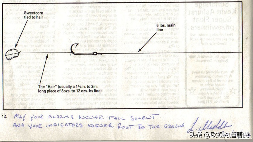 欧鲤钓适合中国吗,欧鲤钓入门