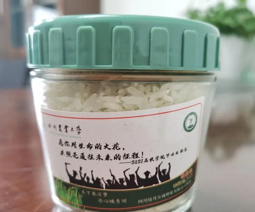 这些高校送的毕业礼物火了，送瓜的，送芯片的，还有送男朋友的