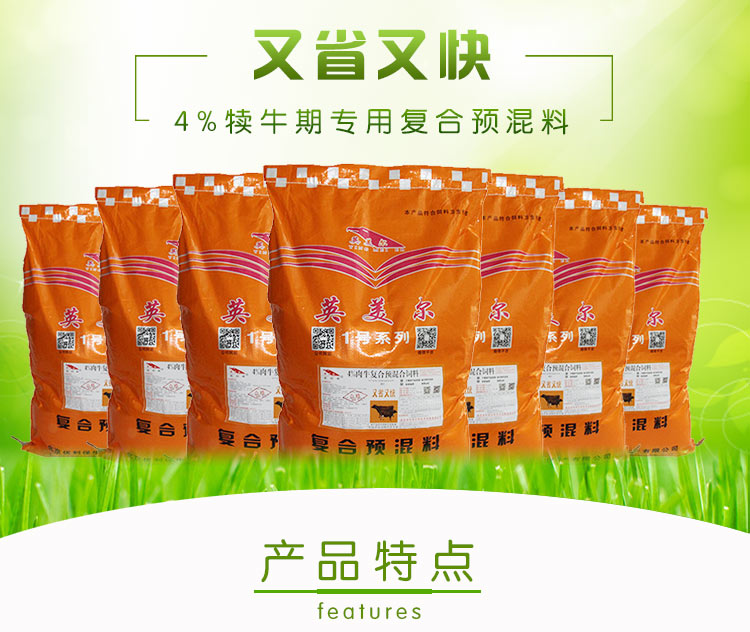 犊牛育肥基地,育肥犊牛图片