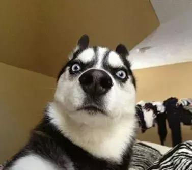 成考数学公式零基础速记,成考数学解题技巧公式大全