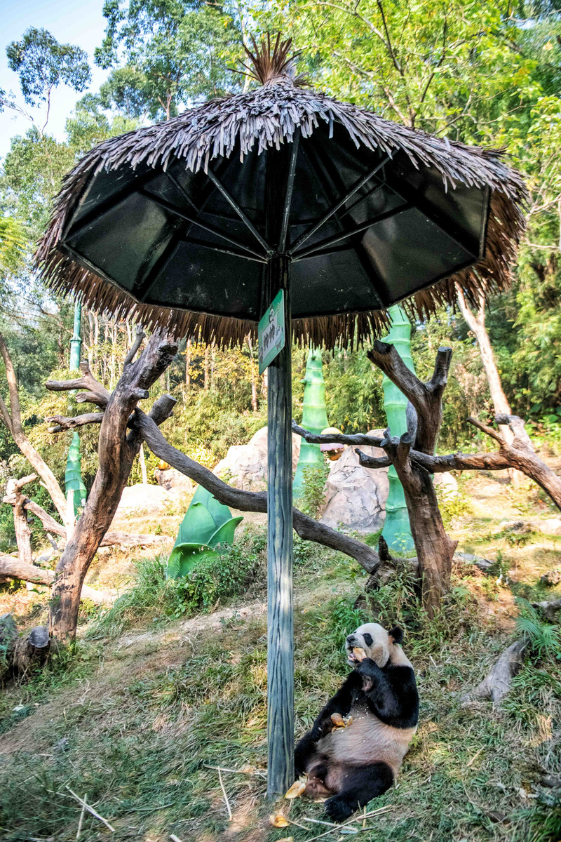 寒假亲子游推荐广东,广东自驾亲子游十大排名