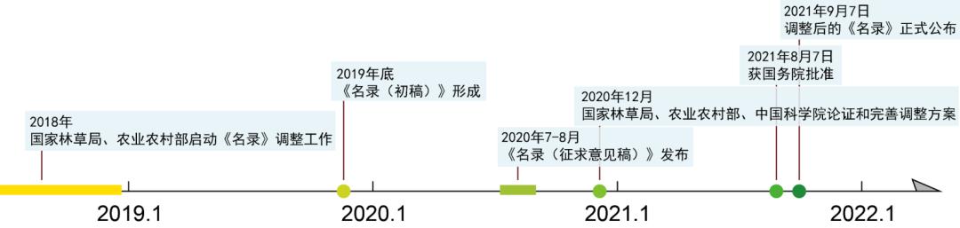 天价交易下历尽劫难的野生兰花，终于有了“护身符”