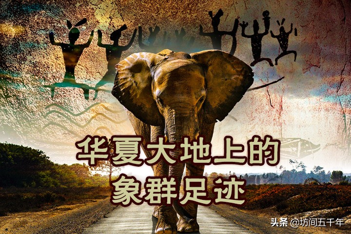 现存的史前大象有哪些,中国大象历史纪录