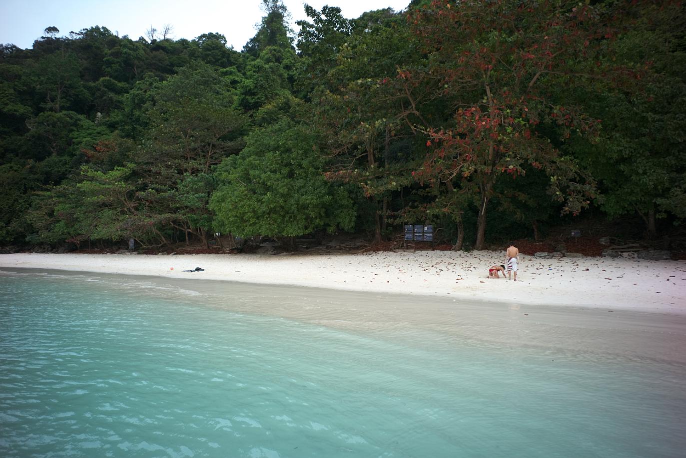 泰国普吉岛斯米兰岛旅游攻略,泰国旅游普吉岛的夏天皮皮岛浮潜