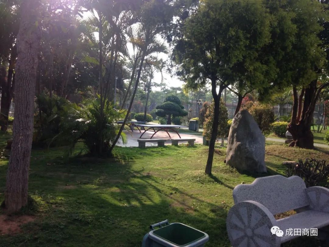 成田文化体育公园,成田镇体育馆