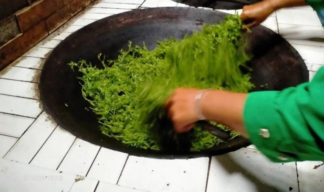 张家界的莓茶酥,张家界的莓茶是什么植物