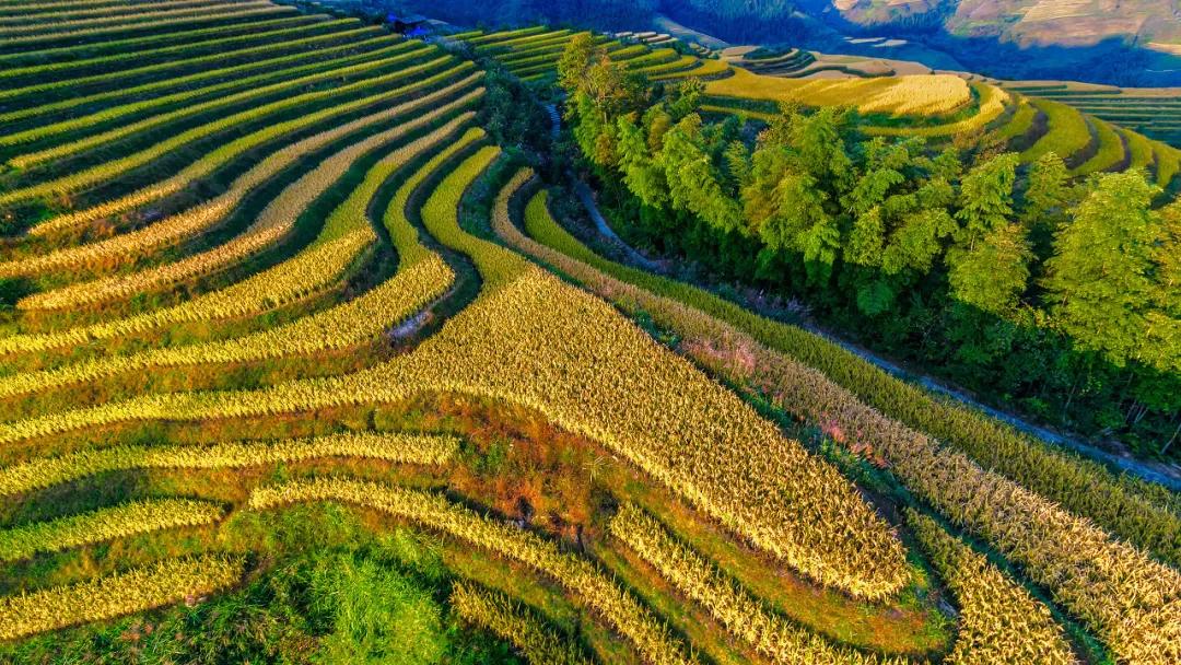 一周旅游推荐8月国内旅行,值得推荐的一月小众旅游