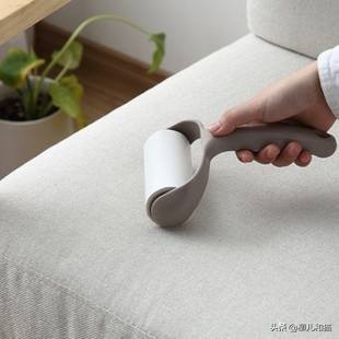 猫咪脱毛最有效方法,猫咪脱毛严重值得收藏的处理方法