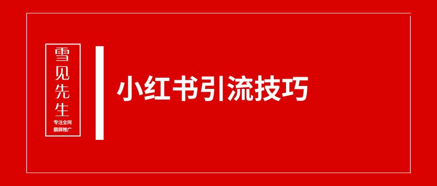 一小时学会小红书精准引流,小红书一对一引流指导