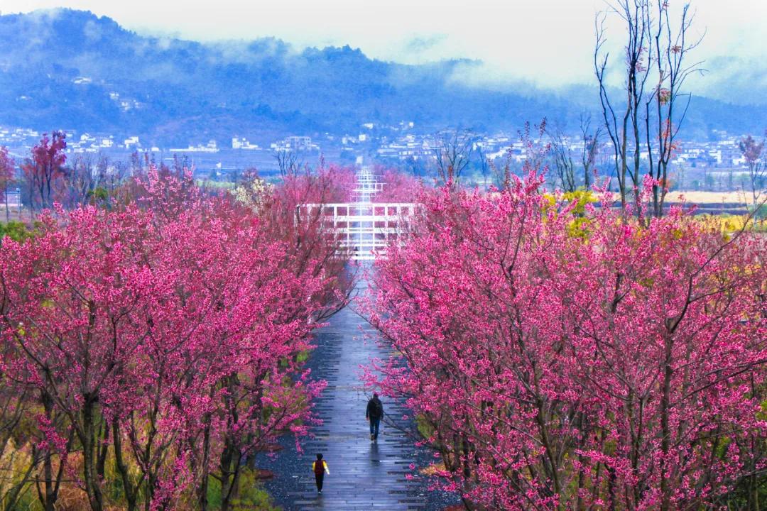保山有魅力的地方,云南保山有多迷人