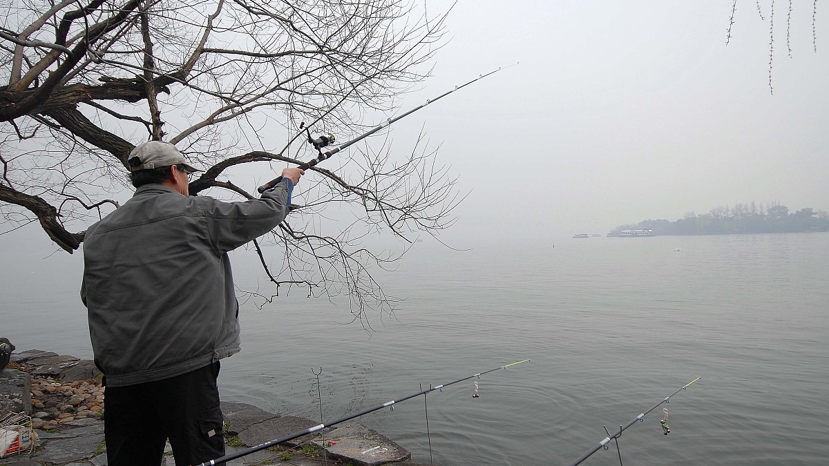 钓鱼人注意了，这六种垂钓行为，四种用饵被纳入监管，禁止使用！
