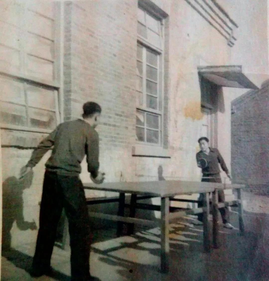 王理学哒歌｜曾经的深县一中乒乓球队