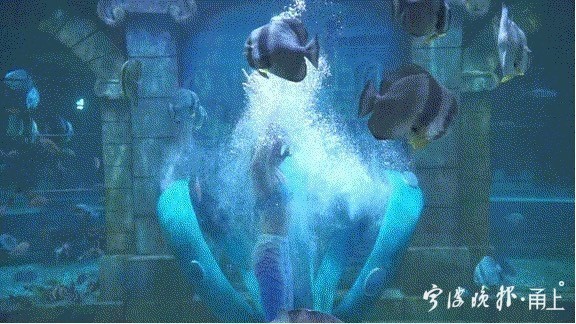 宁波夜间景点推荐,宁波人气最旺的景区