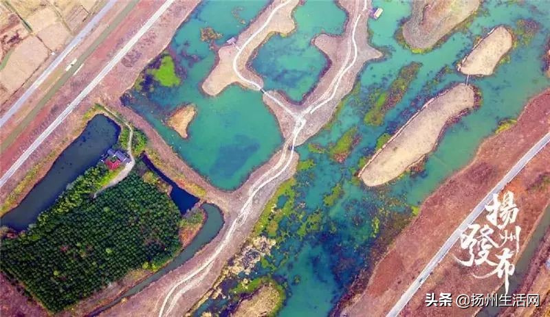 扬州西湖湿地公园在哪里,扬州湿地公园国家湿地公园