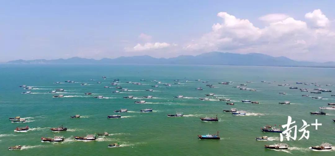 看饿了！南海开渔，佛山人去这些地方吃到high