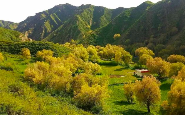 民宿365近期10家大热的极简民宿,西北风格民宿