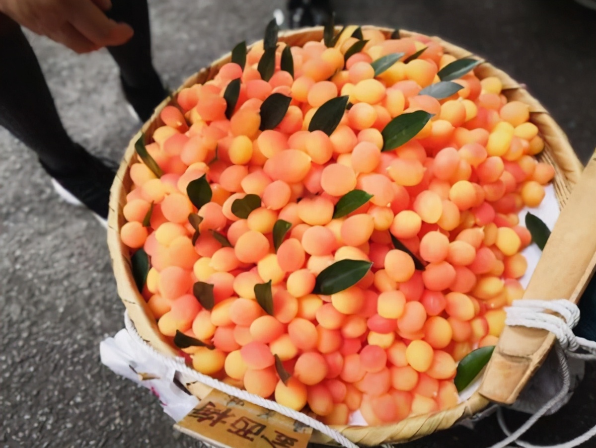 十大造假水果排行,三种造假水果都不能买