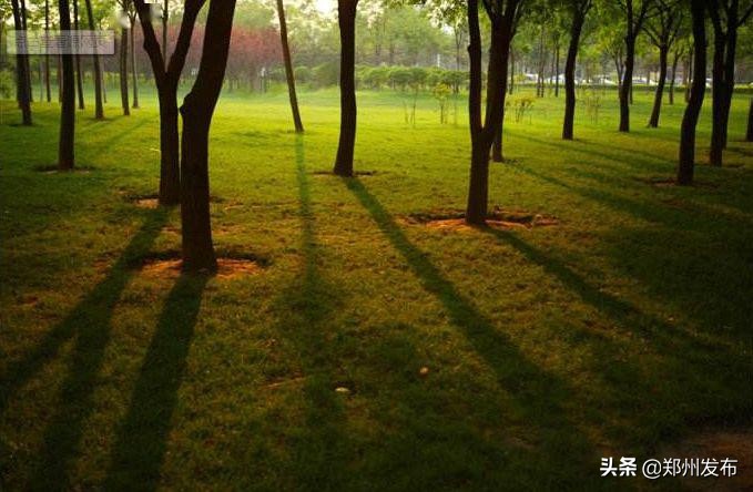 六一儿童节带着小朋友玩了一天,六一儿童节快乐游玩