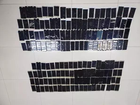 海关在空港口岸截获入侵物种“田园杀手”非洲大蜗牛